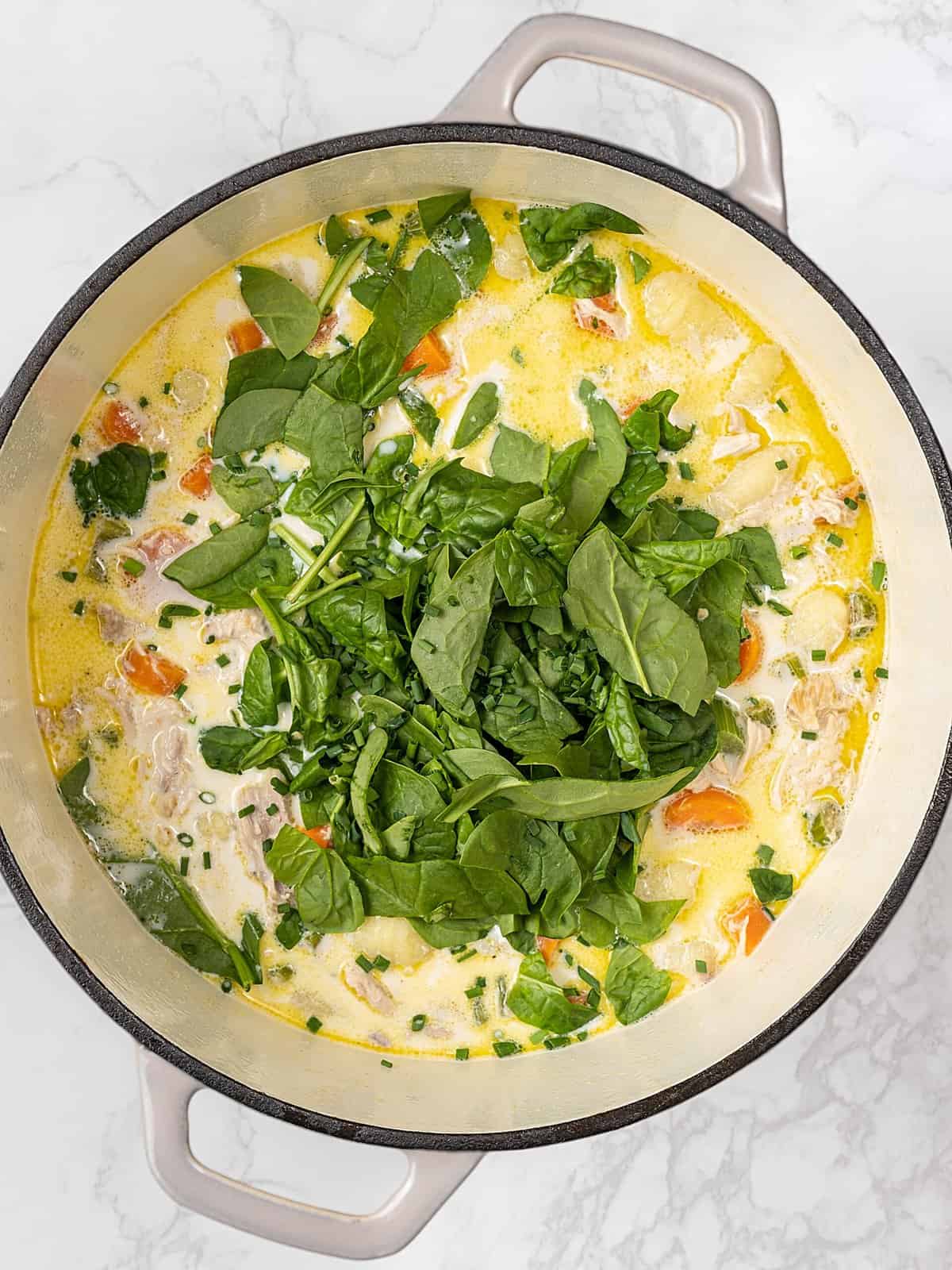 Creamy Chicken Gnocchi Soup | Easy Dinner Recipes