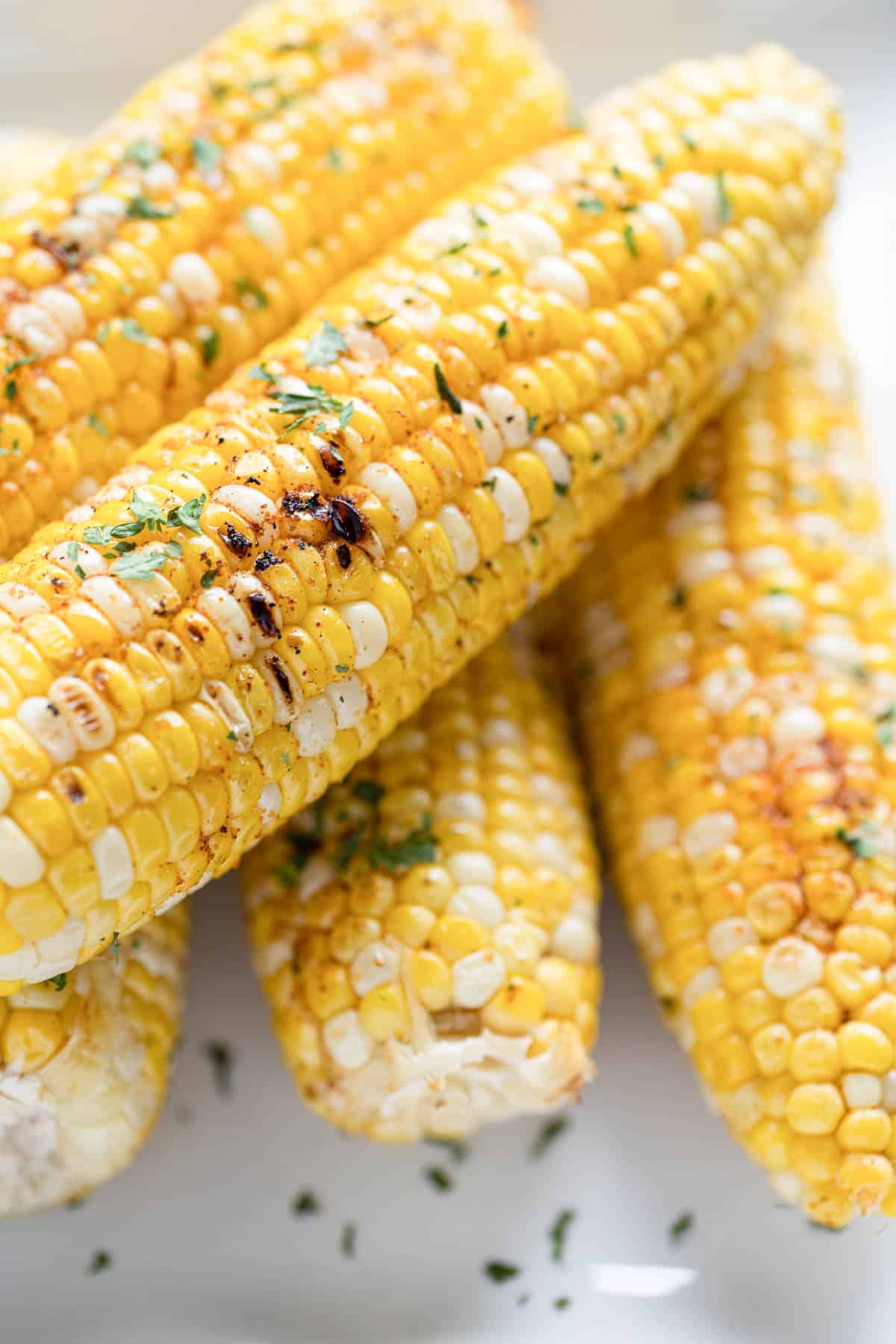 A close image of fresh sweet corn that has been grilled.