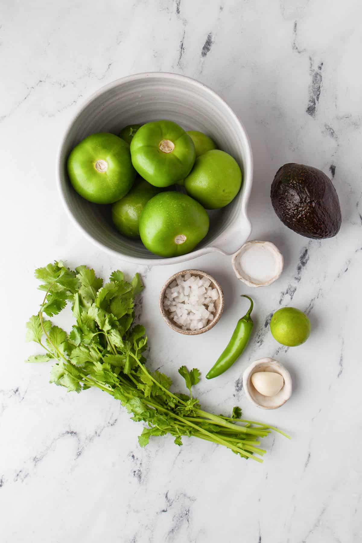 Ingredients for tomatillo salsa verde on a white surface.