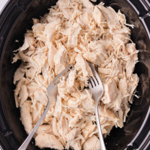 Shredding cooked chicken with two forks.