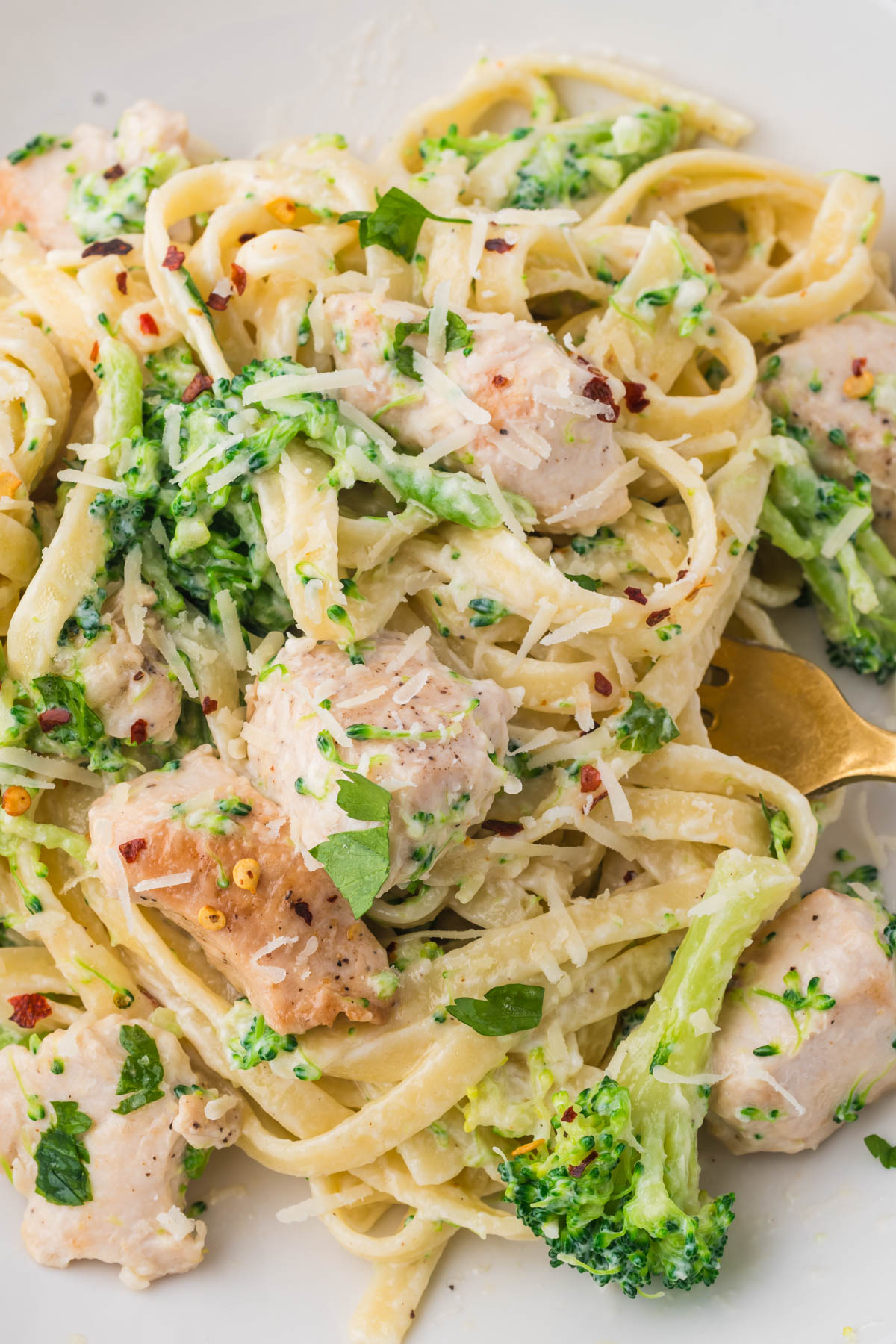 Close up visual of fettuccini noodle dish with chicken and broccoli. 